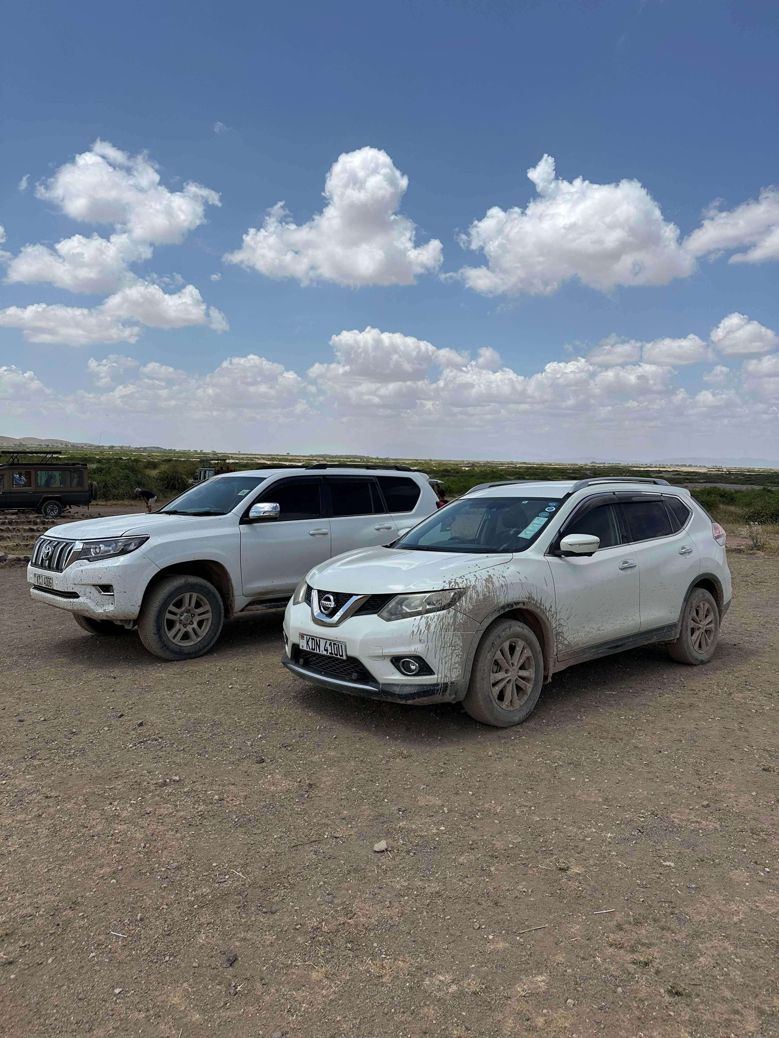 The best car for self drive in amboseli national park safari game
